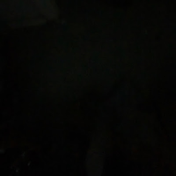 Meet your Posher, Ali - Picture 1 of 1